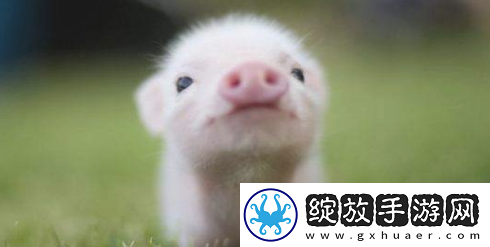 今天朋友圈18岁是什么梗