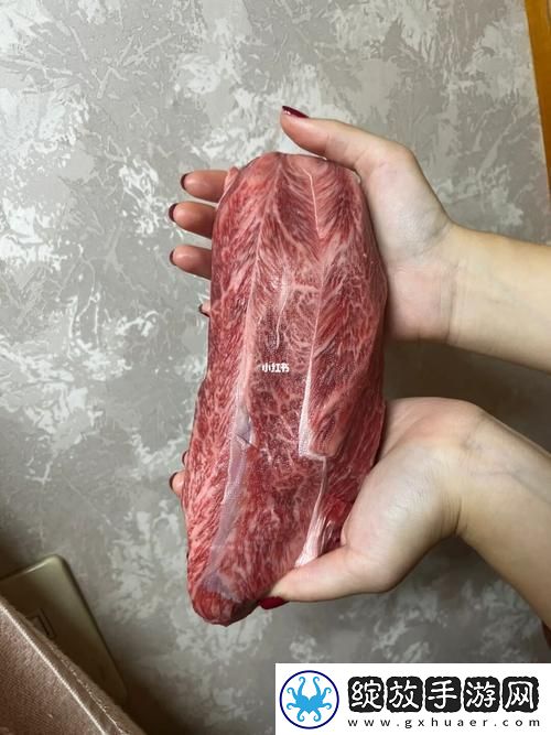 大肉大捧一进一出的视频