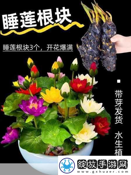 bgmbgmbgm老少配的使用方法