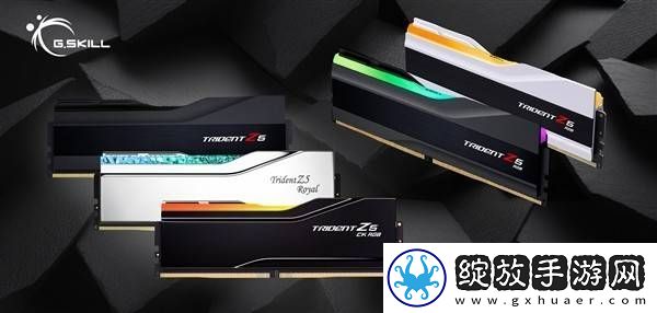 芝奇Trident