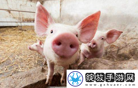 今天朋友圈18岁是什么梗