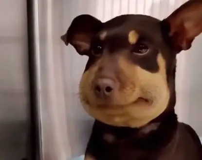 my