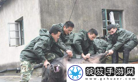 今天朋友圈18岁是什么梗