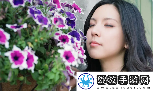 精准满足办公自动化oa需求