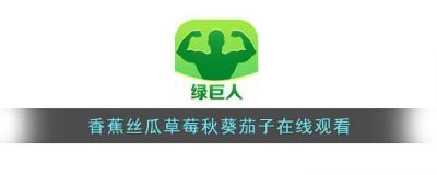 番茄黄瓜丝瓜草莓秋葵的精彩集锦