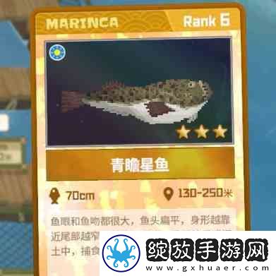 潜水员戴夫青瞻星鱼三星指南