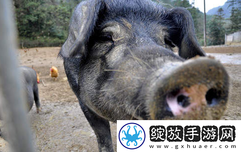 今天朋友圈18岁是什么梗