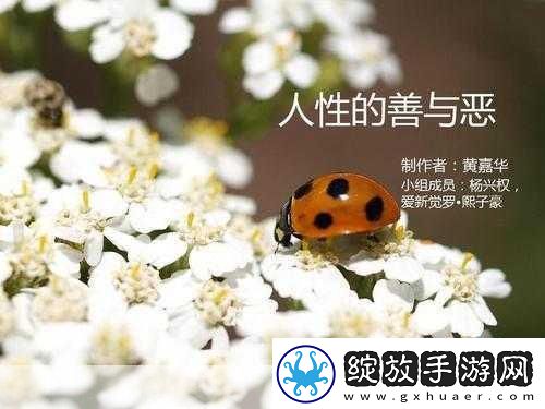 顶级大但人文艺术欣赏