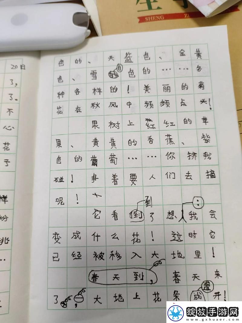 苏苏的公交车日记