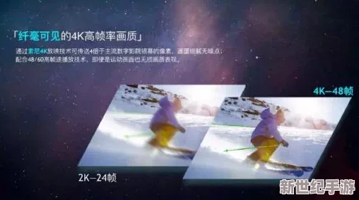 探索新视界