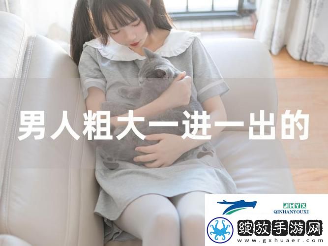 大肉奉子一进一出