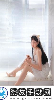 人狗大战JAVA代码