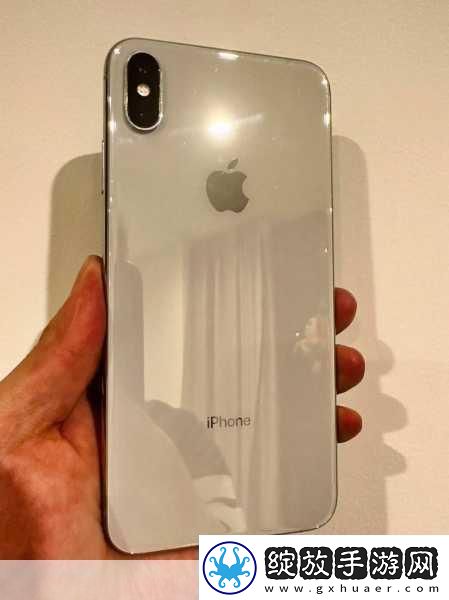 iphonexsmax欧美高级令人费解iPhoneXSMax
