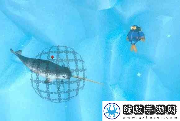 潜水员戴夫青瞻星鱼三星指南