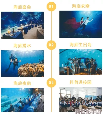 探索国产免费一区二区在线看的魅力