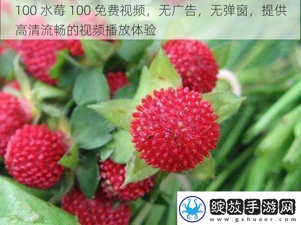 100水莓100免费视频无广告无弹窗提供高清流畅的视频播放体验