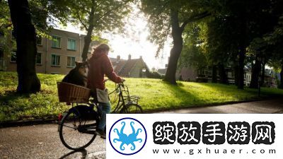 无限暖暖捕捉一缕阳光攻略及任务任务需求操作步骤分析【详解】