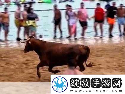 老牛影视
