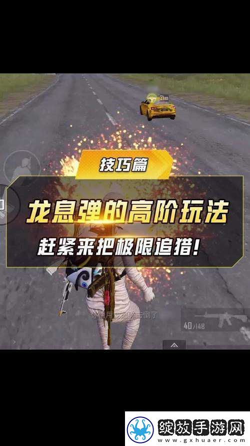 和平精英龙息弹获取及使用方法全解析