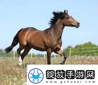 老**春天回敏捷