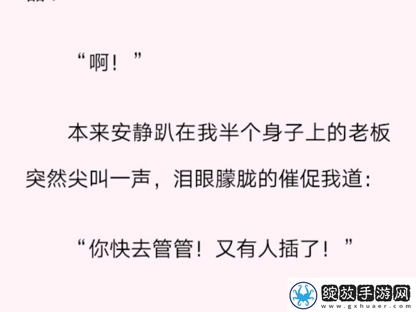 插座老板