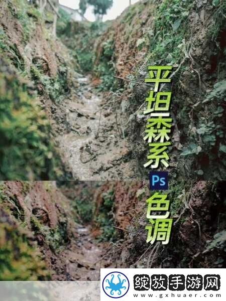 免费PS大片调色软件下载