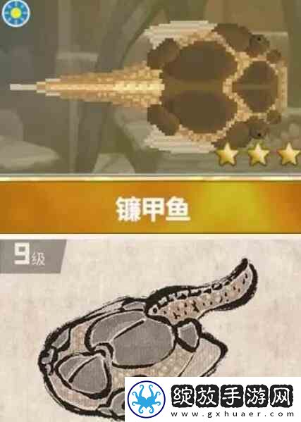潜水员戴夫镰甲鱼在哪抓