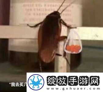 我买几个橘子是什么梗