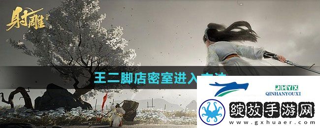 射雕王二脚店密室怎么进