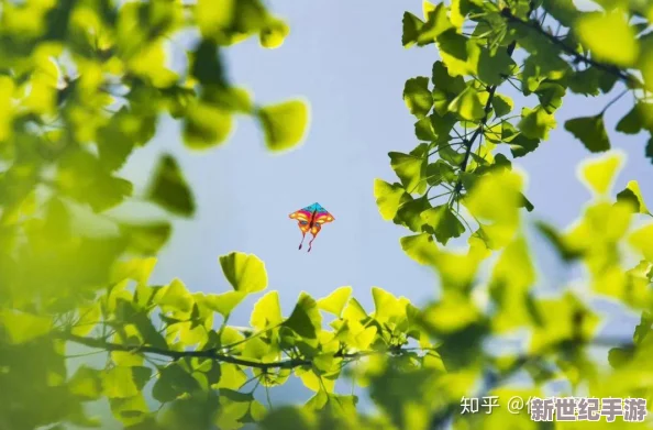 97人人澡人人爽人人爱