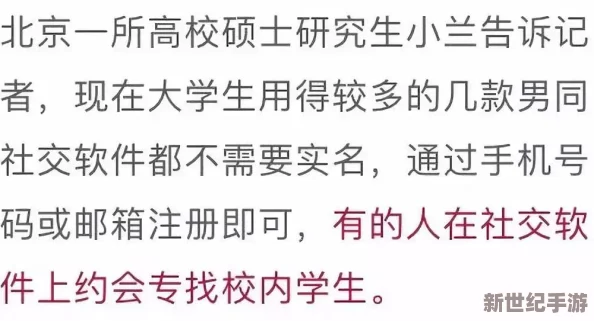 99久久精品国产综合男同