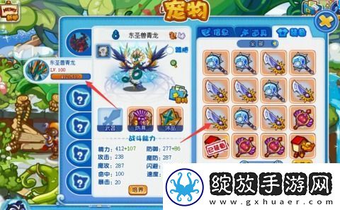 全面揭秘