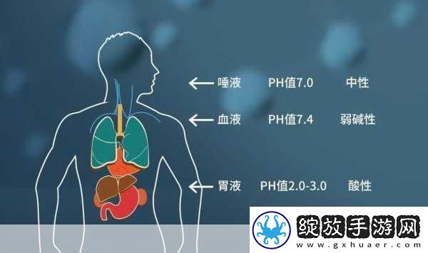 温茶poH