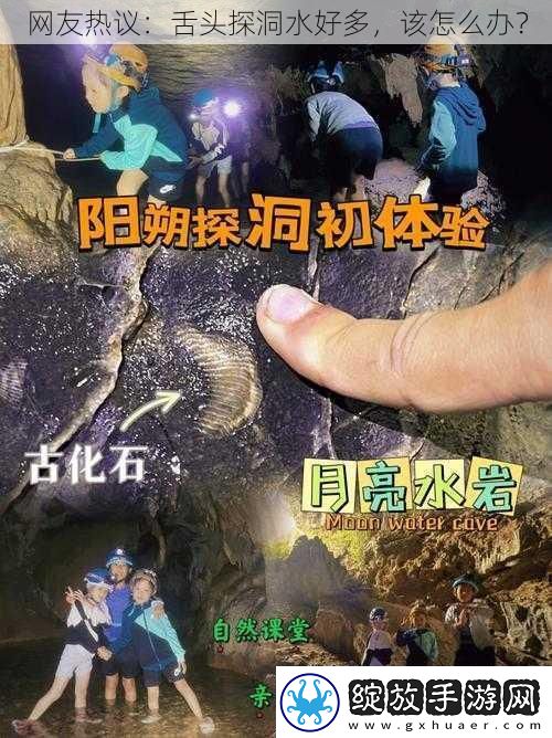 网友热议