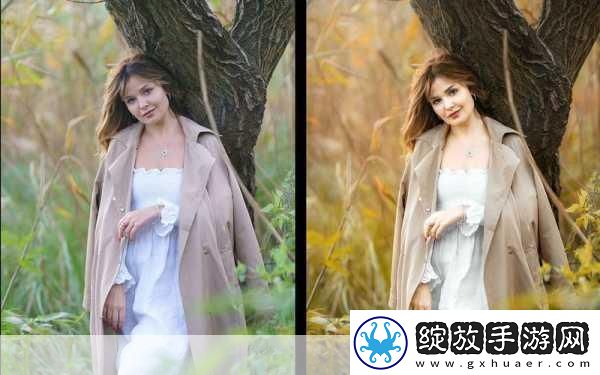 免费PS大片调色软件下载