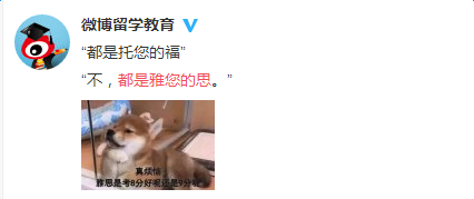 雅您的思是什么意思