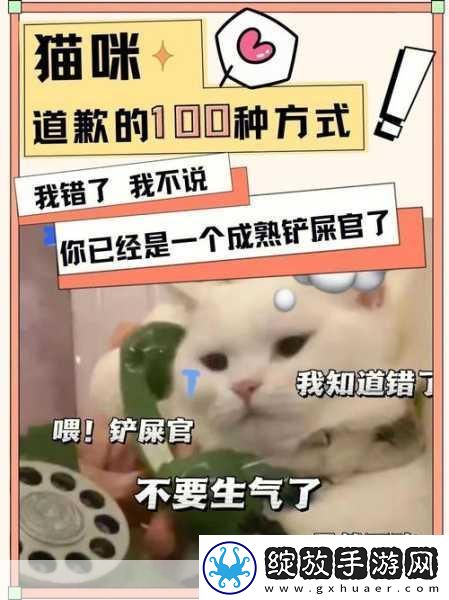 主人我错了请把它关掉好吗