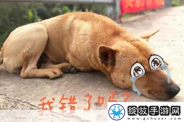 主人我错了请把它关掉好吗