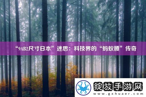 “9AB2尺寸日本”迷思