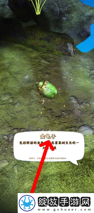 【道具合成】夺笋高手怎么抓虫