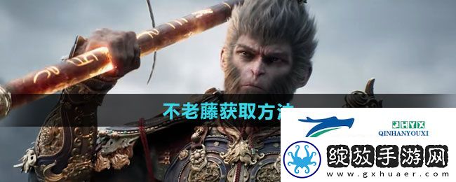 黑神话悟空不老藤怎么获得