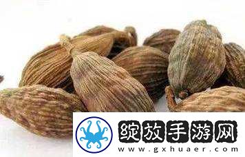 盐母