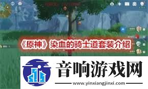 原神血染骑士套在哪里获取