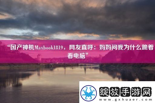 “国产神机Maxbook1819友直呼