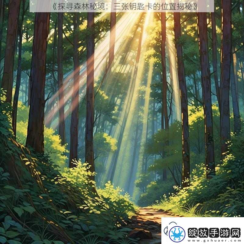 探寻森林秘境