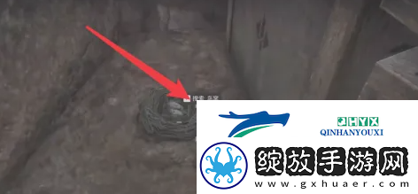 三角洲行动鸟窝怎么搜索