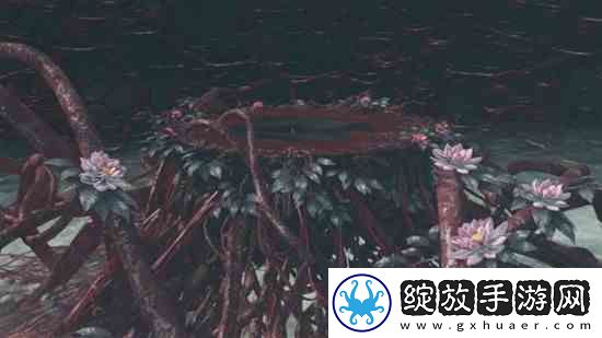崩坏星穹铁道托帕详细培养指南