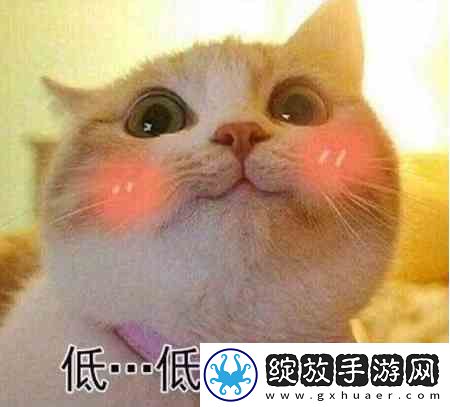 抖音真系想嘴淡你梗推荐