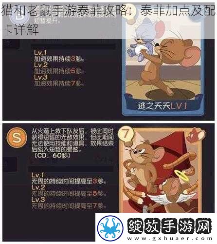 猫和老鼠手游泰菲攻略