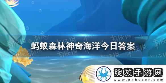 以下哪种螃蟹会用钳子挥舞海葵被称为啦啦队蟹